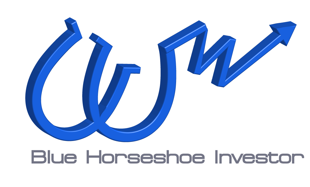 Logo Blue Horseshoe Investor